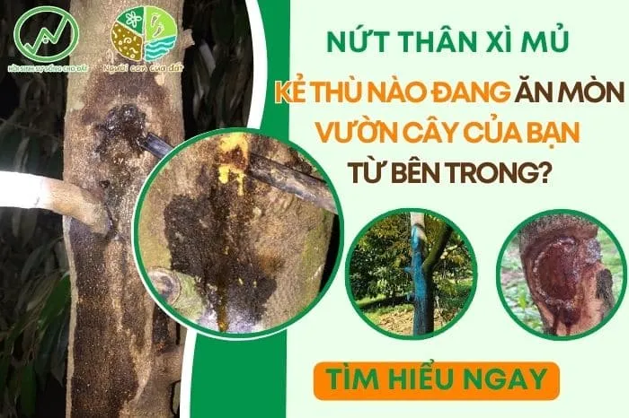 Sản phẩm nut than xi mu wao talk 99 — Công Ty TNHH Công Nghệ Sinh Học WAO — MST 3002131116