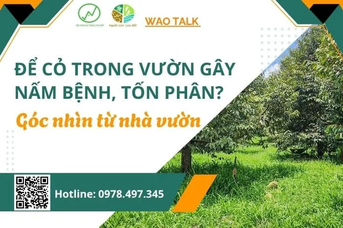Sản phẩm quan ly co web 1 — Công Ty TNHH Công Nghệ Sinh Học WAO — MST 3002131116