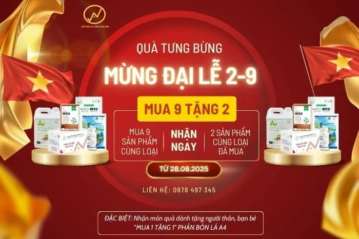 Sản phẩm size web MUA 9 TANG 2 — Công Ty TNHH Công Nghệ Sinh Học WAO — MST 3002131116