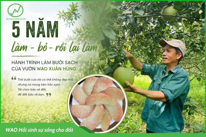Sản phẩm wao xuan hung web 1 — Công Ty TNHH Công Nghệ Sinh Học WAO — MST 3002131116