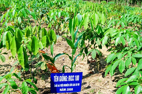 Sản phẩm 1383697533_Van bau (5) — Công Ty Cổ Phần Lệ Ninh — MST 3100114609