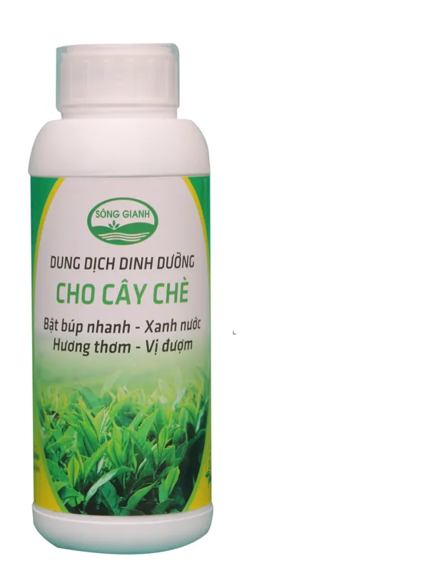 Sản phẩm 7 — Công Ty Cổ Phần Tổng Công Ty Sông Gianh — MST 3100126555