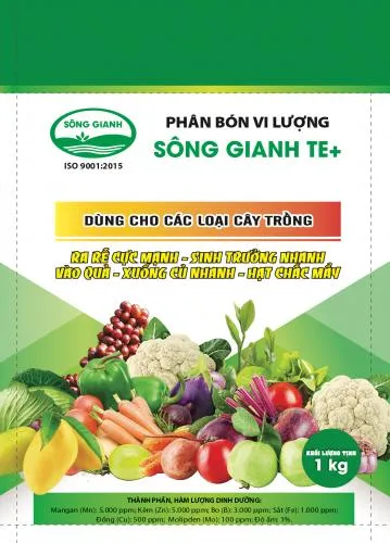 Sản phẩm 3365xyhn3054 phan sieu vi luong song gianh cv sua 01 — Công Ty Cổ Phần Tổng Công Ty Sông Gianh — MST 3100126555