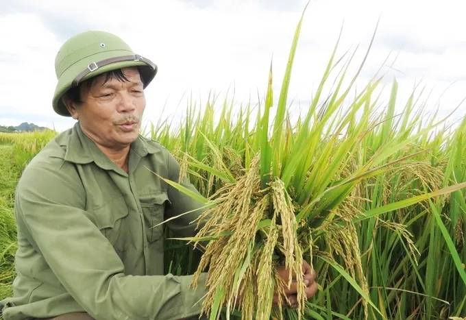 Sản phẩm 2347anh nn — Công Ty Cổ Phần Tổng Công Ty Sông Gianh — MST 3100126555