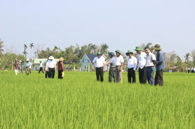 Sản phẩm 4206lien ket — Công Ty Cổ Phần Tổng Công Ty Sông Gianh — MST 3100126555