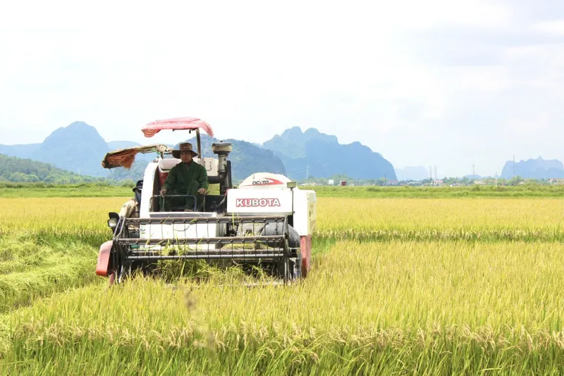 Sản phẩm 711mua gat 2 — Công Ty Cổ Phần Tổng Công Ty Sông Gianh — MST 3100126555