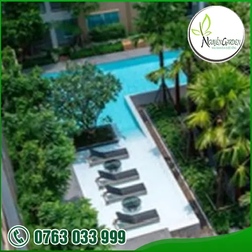 Sản phẩm 21 — Nguyễn Garden — MST 3101048733