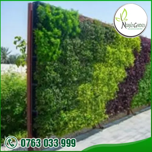 Sản phẩm 22 — Nguyễn Garden — MST 3101048733