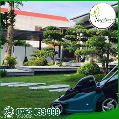Sản phẩm 7 — Nguyễn Garden — MST 3101048733