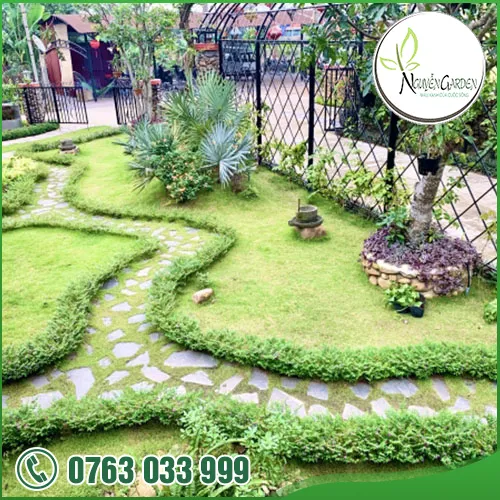 Sản phẩm adddddddd (3) — Nguyễn Garden — MST 3101048733