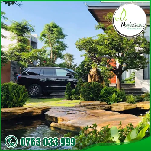 Sản phẩm adddddddd (7) — Nguyễn Garden — MST 3101048733