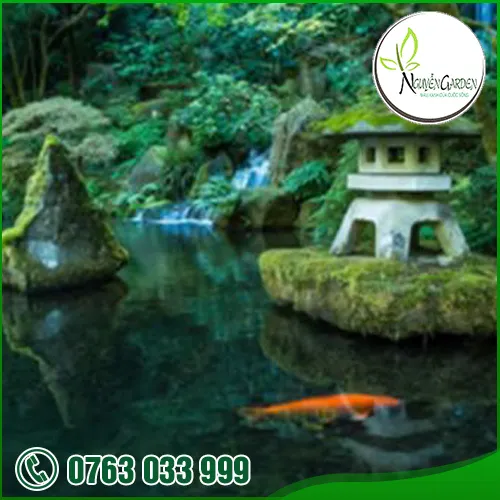 Sản phẩm koi1 — Nguyễn Garden — MST 3101048733