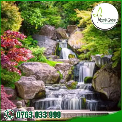 Sản phẩm koi2 — Nguyễn Garden — MST 3101048733