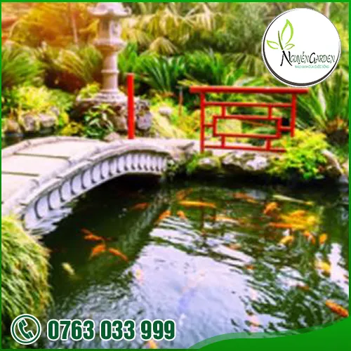 Sản phẩm koi3 — Nguyễn Garden — MST 3101048733