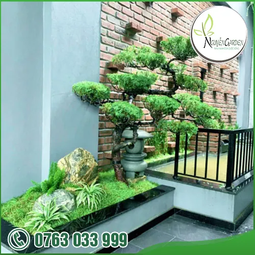 Sản phẩm adddddddd (1) — Nguyễn Garden — MST 3101048733