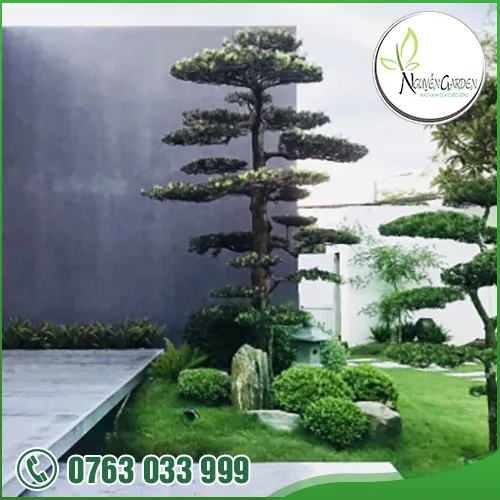 Sản phẩm adddddddd (10) — Nguyễn Garden — MST 3101048733