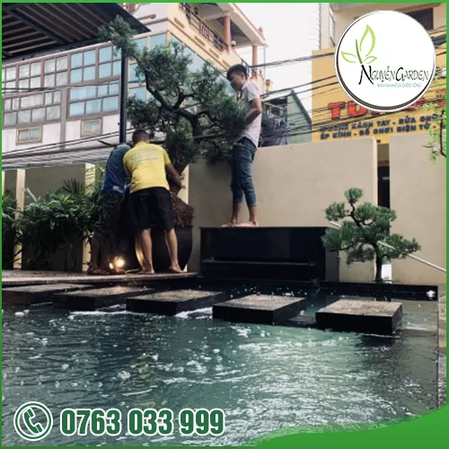 Sản phẩm adddddddd (13) — Nguyễn Garden — MST 3101048733