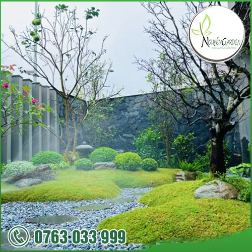 Sản phẩm adddddddd (14) — Nguyễn Garden — MST 3101048733