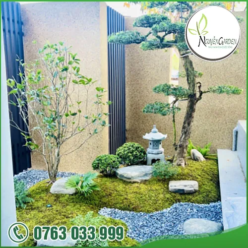 Sản phẩm adddddddd (16) — Nguyễn Garden — MST 3101048733