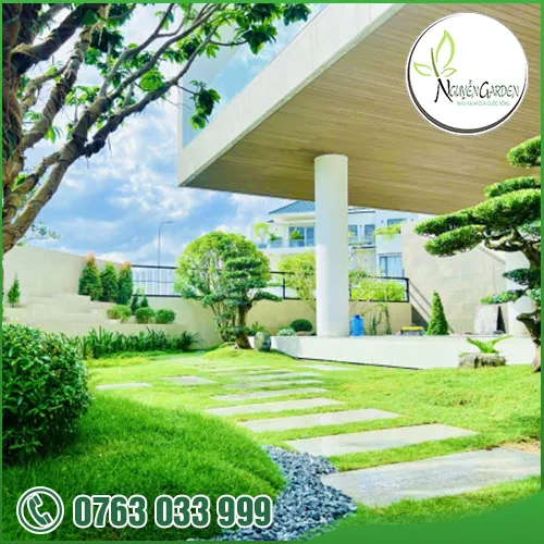 Sản phẩm adddddddd (17) — Nguyễn Garden — MST 3101048733