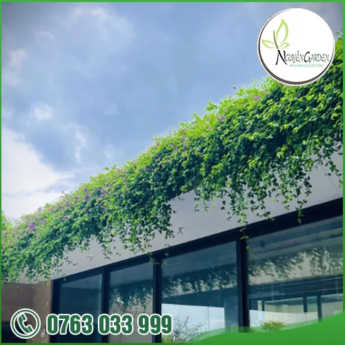 Sản phẩm adddddddd (18) — Nguyễn Garden — MST 3101048733