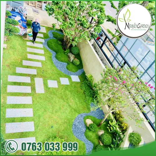 Sản phẩm adddddddd (19) — Nguyễn Garden — MST 3101048733