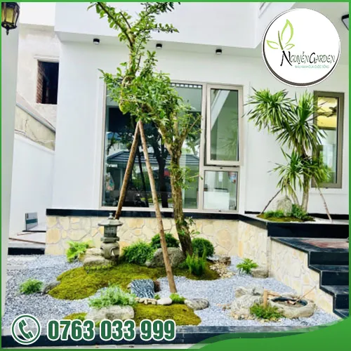 Sản phẩm adddddddd (20) — Nguyễn Garden — MST 3101048733