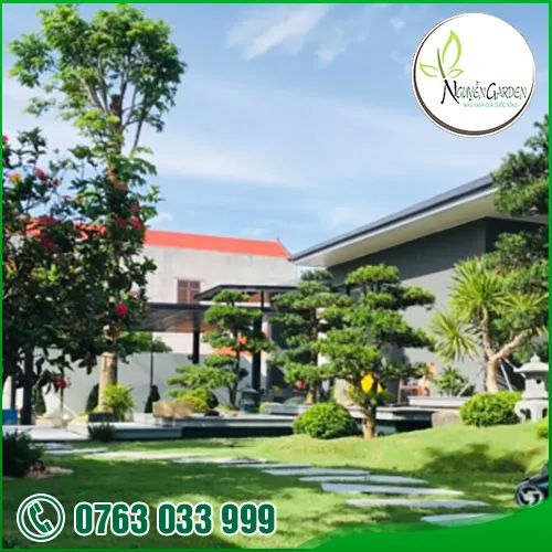 Sản phẩm adddddddd (8) — Nguyễn Garden — MST 3101048733