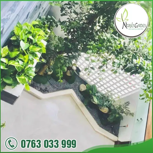Sản phẩm adddddddd (9) — Nguyễn Garden — MST 3101048733