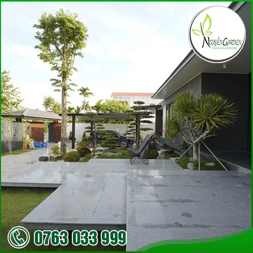 Sản phẩm tk thi cong cay canh vuon (1) — Nguyễn Garden — MST 3101048733