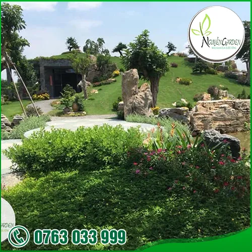 Sản phẩm tk thi cong cay canh vuon (2) — Nguyễn Garden — MST 3101048733
