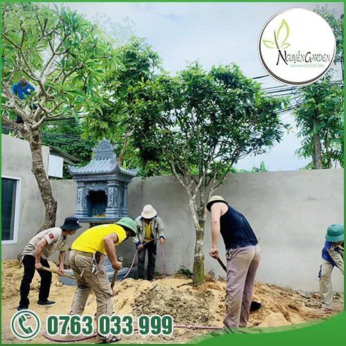 Sản phẩm tk thi cong cay canh vuon (9) — Nguyễn Garden — MST 3101048733