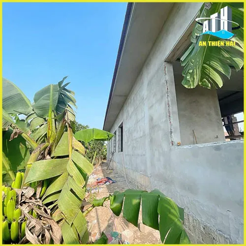 Sản phẩm nha anh long fix (7) — Xây Nhà Trọn Gói Quảng Trị (An Thiện Hải) - Công Ty TNHH MTV Tư Vấn Xây Dựng An
Thiện Hải — MST 3200600200