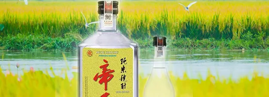 Sản phẩm z3 sp — Công Ty TNHH Một Thành Viên Thực Phẩm Huế — MST 3300100882