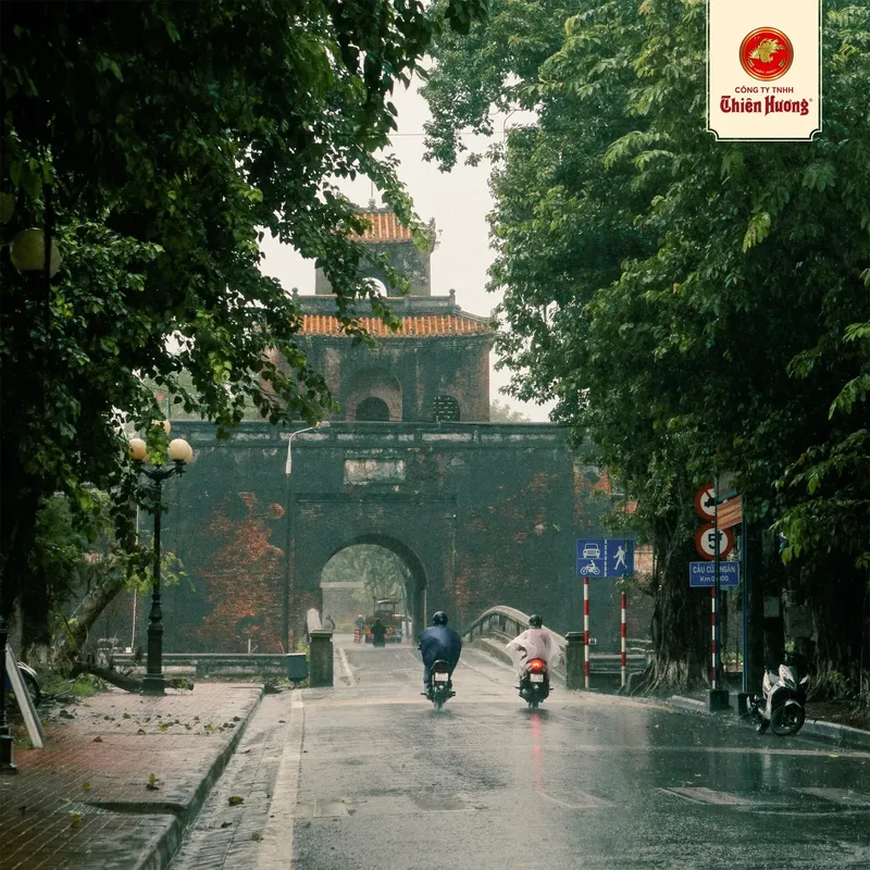 Sản phẩm gallery 2 — Bánh Kẹo Thiên Hương - Công Ty Trách Nhiệm Hữu Hạn Thiên Hương — MST 3300362479