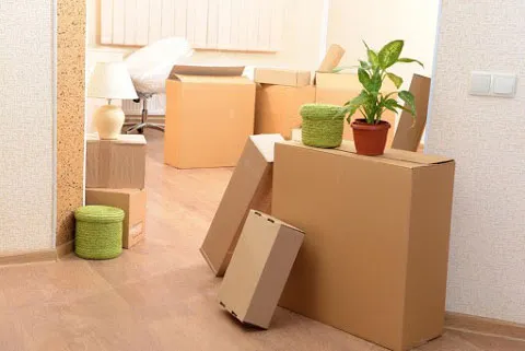 Sản phẩm cac loai thung carton dung de dong goi san pham — Thùng Carton Tài Phát - Công Ty Cổ Phần Tài Phát — MST 3300478258