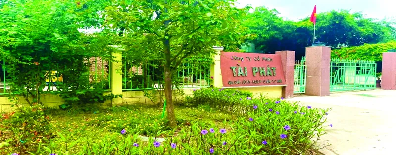 Sản phẩm cong taiphat 1920x750 — Thùng Carton Tài Phát - Công Ty Cổ Phần Tài Phát — MST 3300478258