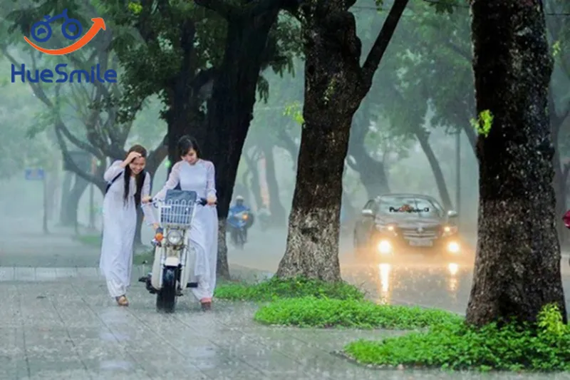 Sản phẩm di trong mua xu hue — Huế Smile Travel - Công Ty TNHH Thương Mại Và Du Lịch Nụ Cười Huế — MST 3301089511