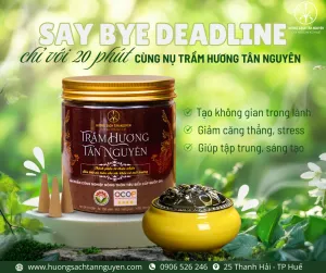 Sản phẩm Nu tram huong 2 300x251 — Công Ty Trách Nhiệm Hữu Hạn Một Thành Viên Tân Nguyên — MST 3301179405
