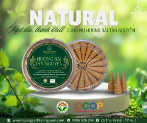 Sản phẩm Thuy Hien 11 300x251 — Công Ty Trách Nhiệm Hữu Hạn Một Thành Viên Tân Nguyên — MST 3301179405