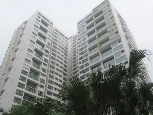 Sản phẩm 01_Mandarin 533x400 — Công Ty TNHH Sáng Thanh Bình — MST 3301524475