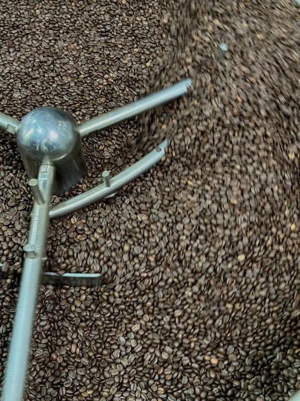 Sản phẩm ara pre+ — Greenfields Coffee - Công Ty TNHH SX - TM Và DV Cà Phê Đồng Xanh — MST 3301594338