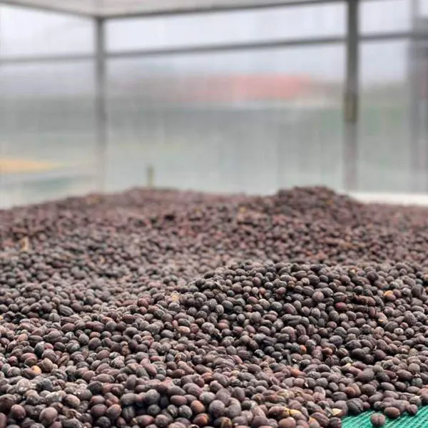 Sản phẩm ca phe che bien kho — Greenfields Coffee - Công Ty TNHH SX - TM Và DV Cà Phê Đồng Xanh — MST 3301594338