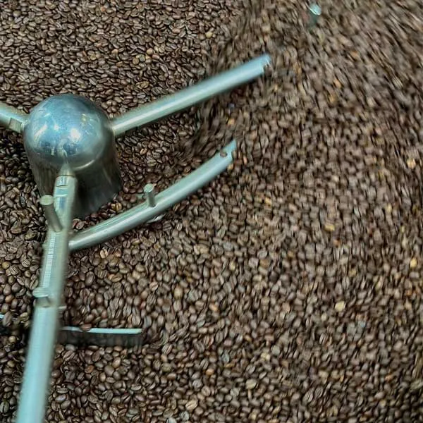 Sản phẩm cafe arabica — Greenfields Coffee - Công Ty TNHH SX - TM Và DV Cà Phê Đồng Xanh — MST 3301594338