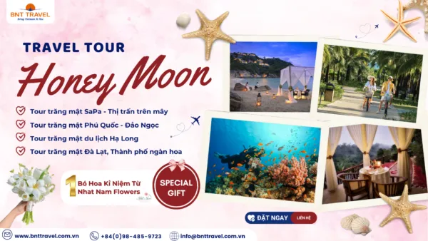 Sản phẩm Honey Moon 2025 1 600x338 — BNT Travel — MST 3301596374