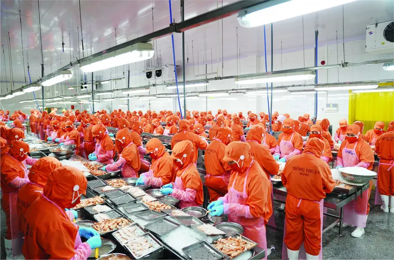 Sản phẩm 1694841633 z3620806301889_9f0ad0617319c4942343dbc265bafd6a — Công Ty TNHH Thông Thuận — MST 3400253480