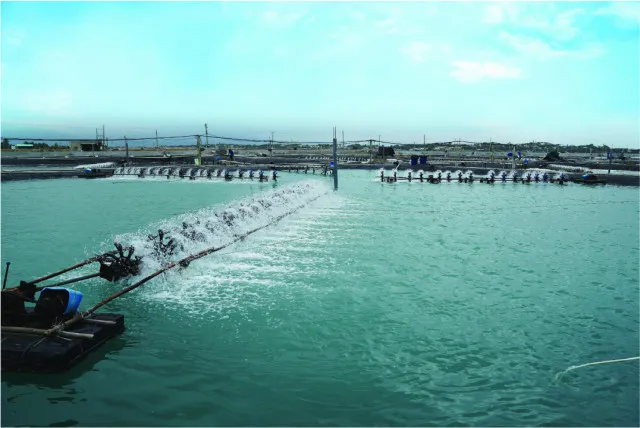 Sản phẩm 1696306175 f54373e1cc20187e4131 — Công Ty TNHH Thông Thuận — MST 3400253480