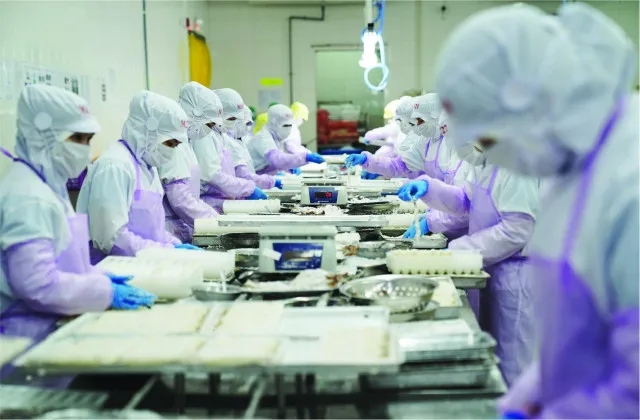 Sản phẩm 1696306189 2bed494cf68d22d37b9c — Công Ty TNHH Thông Thuận — MST 3400253480