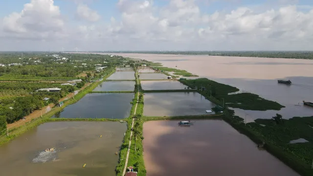 Sản phẩm 1696319755 4062c3ca6608b256eb19 — Công Ty TNHH Thông Thuận — MST 3400253480