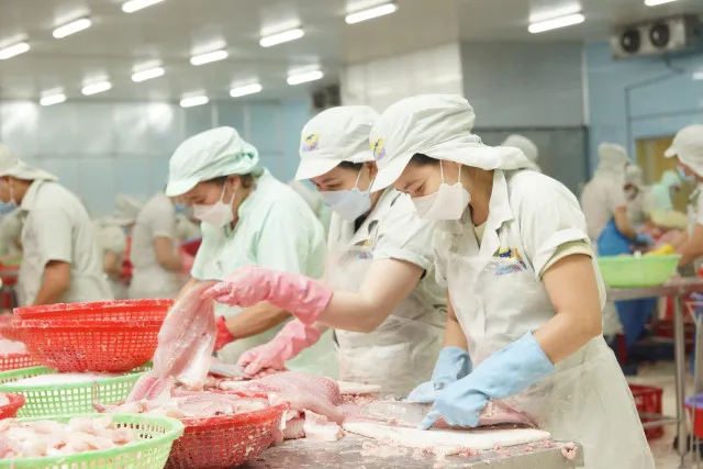 Sản phẩm 1696320213 013937a3506e8430dd7f — Công Ty TNHH Thông Thuận — MST 3400253480